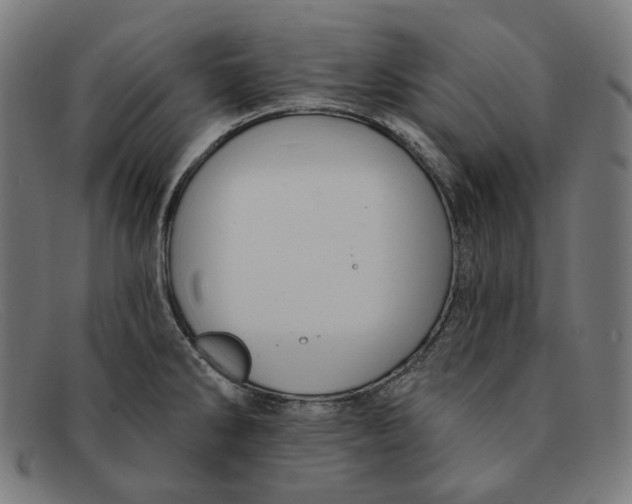X0000091461286200709131727
