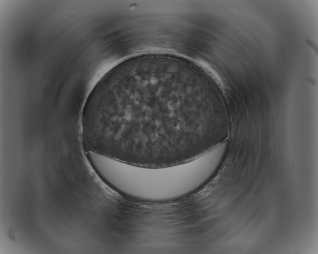 X0000091461287200709131727
