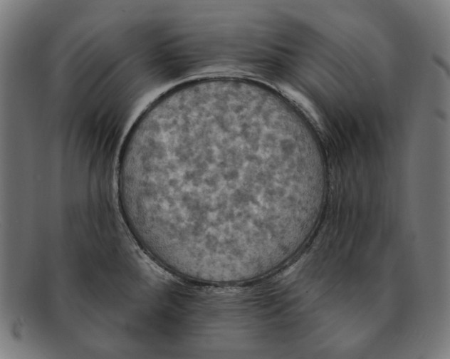 X0000091461288200709131727
