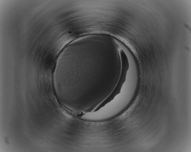 X0000091461289200709131727