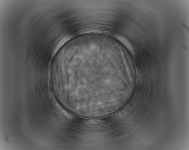 X0000091461290200709131727