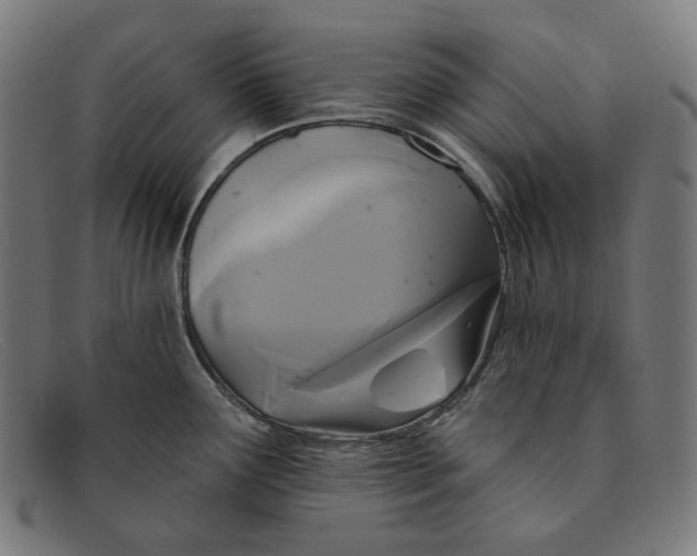 X0000091461291200709131726