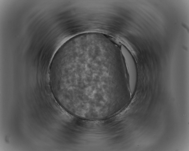 X0000091461292200709131726
