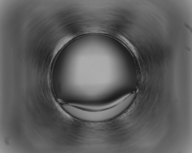 X0000091461293200709131726