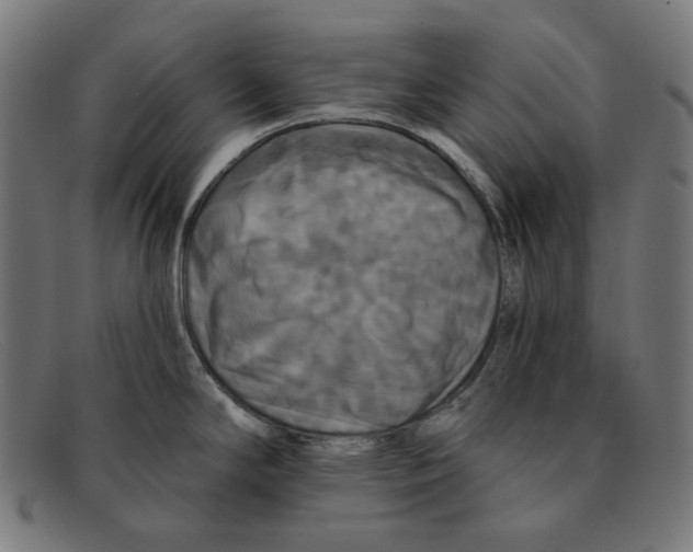 X0000091461294200709131726
