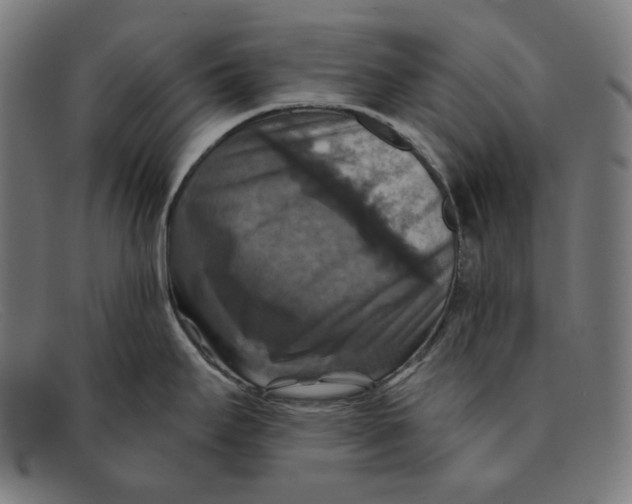 X0000091461295200709131726