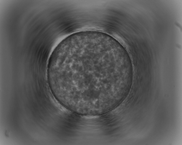 X0000091461296200709131726