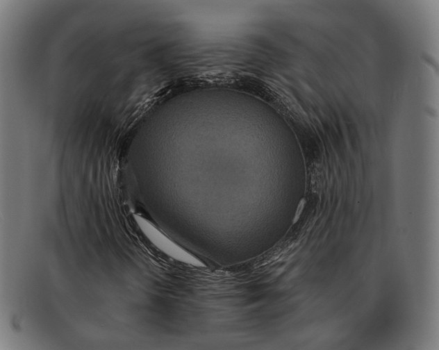 X0000091461298200709131726