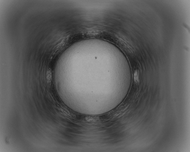 X0000091461299200709131726