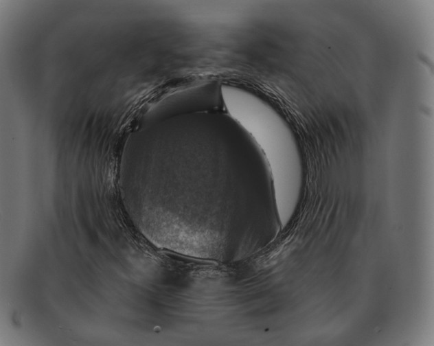 X0000091461300200709131726