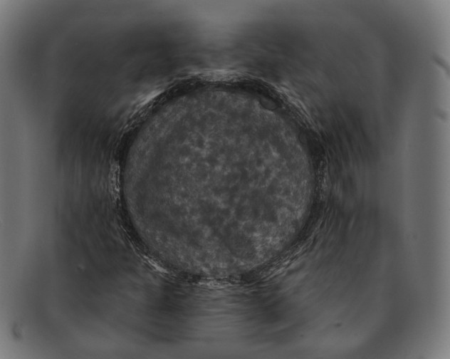 X0000091461301200709131726