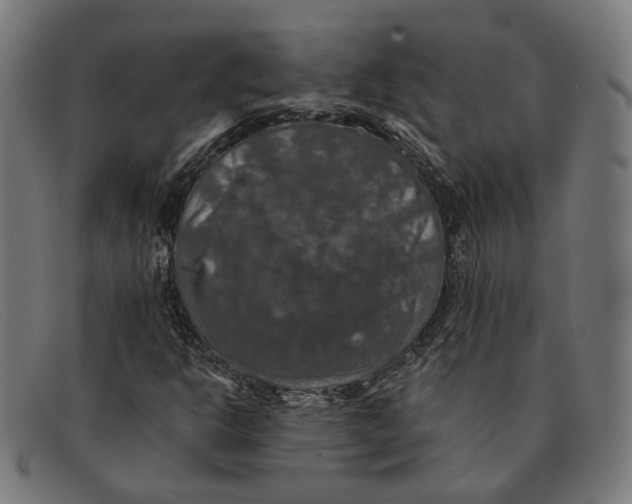 X0000091461302200709131726