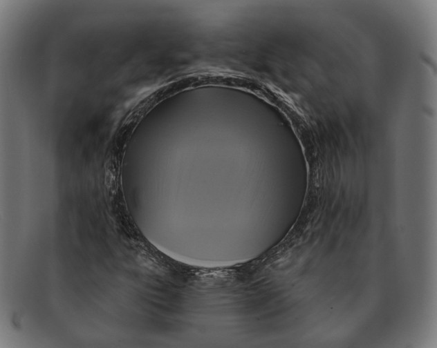 X0000091461303200709131726