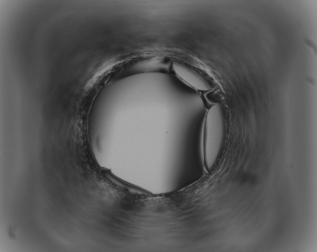 X0000091461304200709131726
