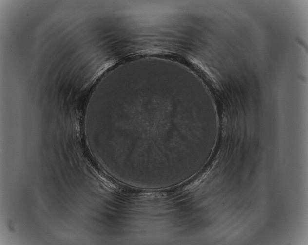 X0000091461305200709131726