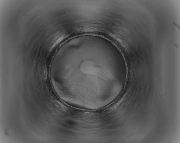 X0000091461306200709131726