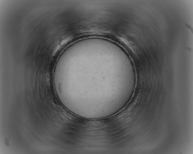 X0000091461307200709131726