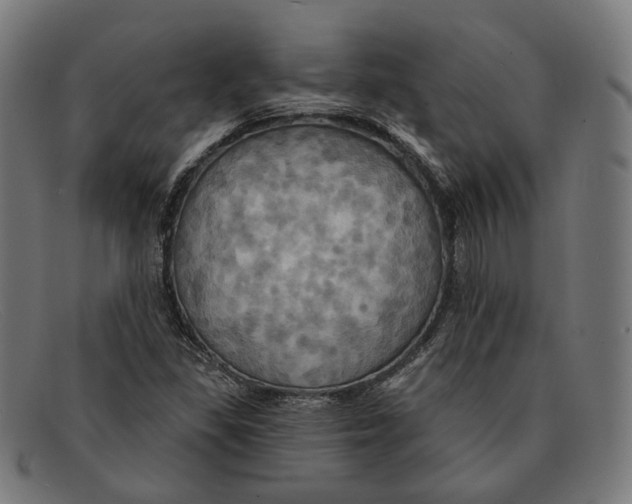 X0000091461309200709131726