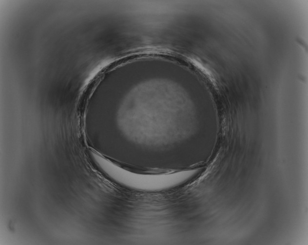 X0000091461310200709131726