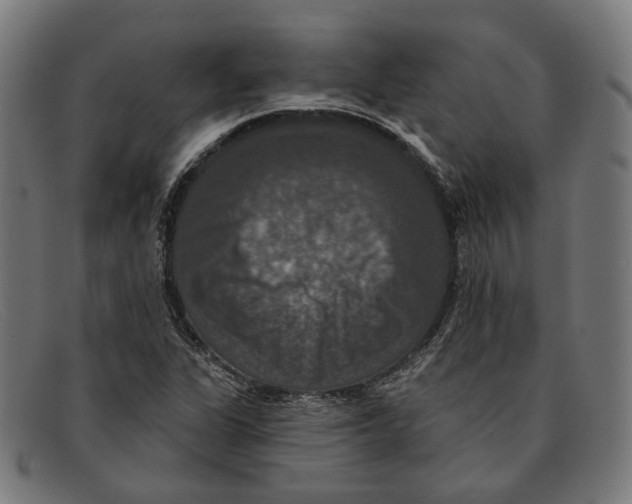 X0000091461311200709131726