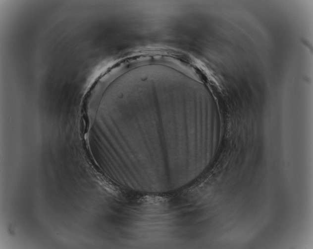 X0000091461312200709131726