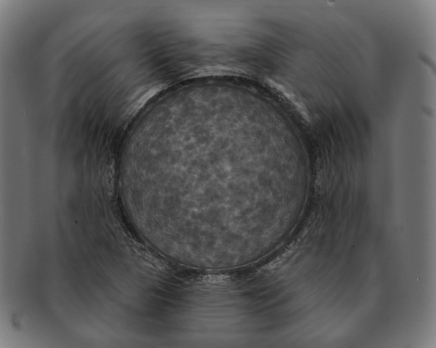 X0000091461313200709131726