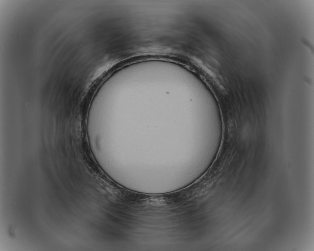X0000091461315200709131726