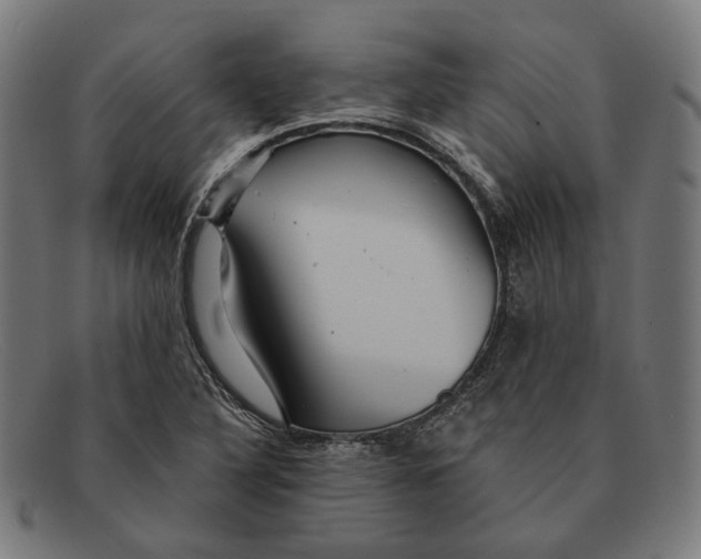 X0000091461316200709131726