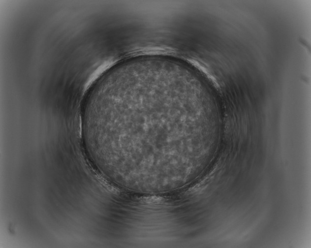 X0000091461317200709131726