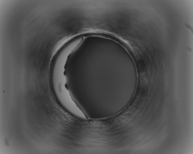 X0000091461319200709131726
