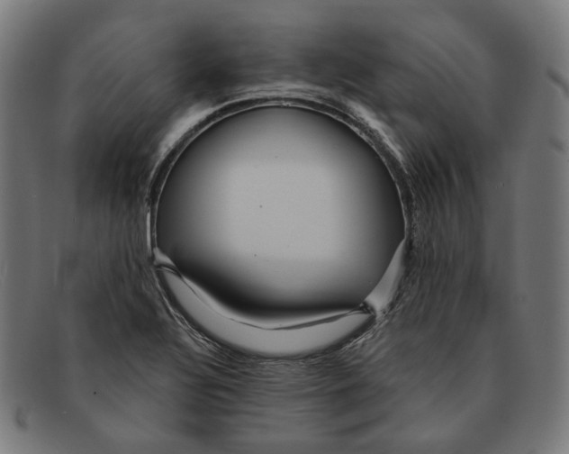 X0000091461320200709131726