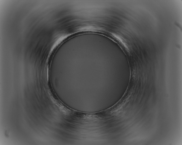 X0000091461323200709131726