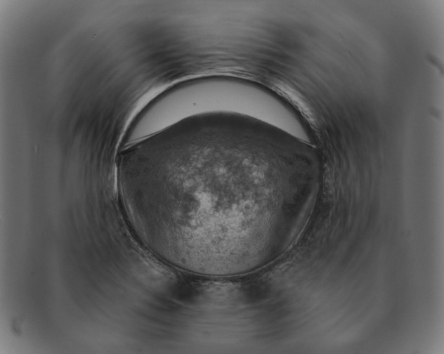 X0000091461324200709131726