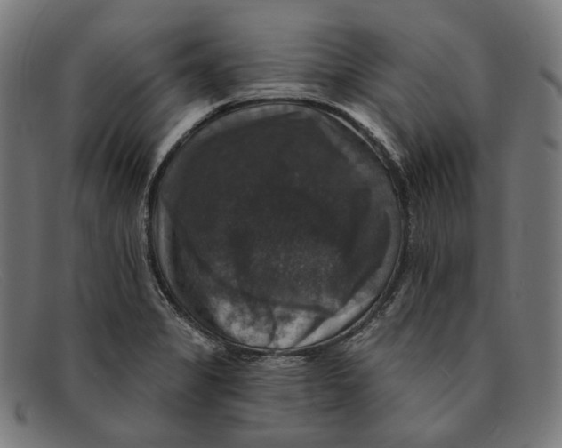 X0000091461325200709131726