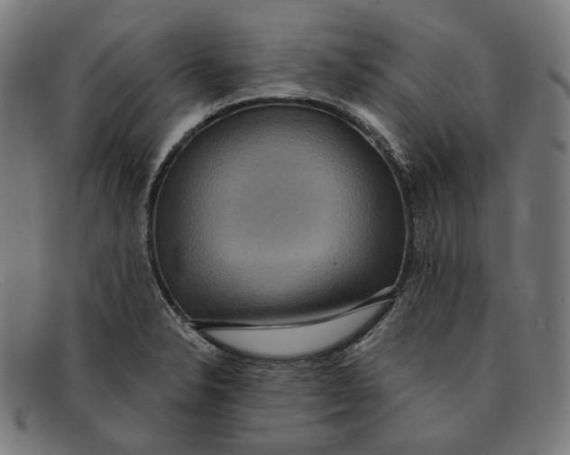 X0000091461326200709131726