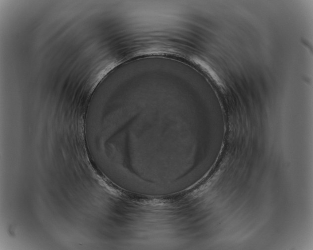 X0000091461329200709131726