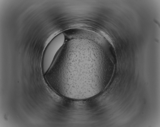 X0000091461330200709131726