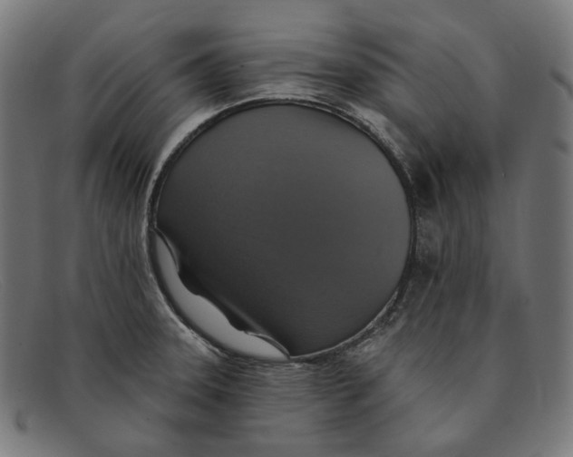 X0000091461331200709131726