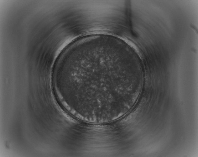 X0000091461333200709131726