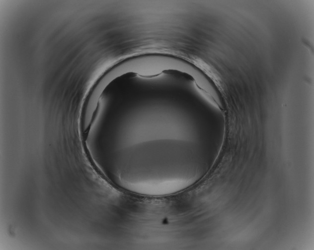 X0000091461334200709131726