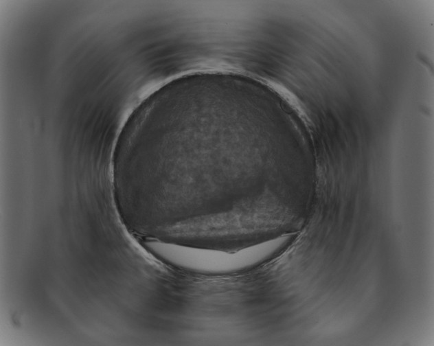 X0000091461335200709131726