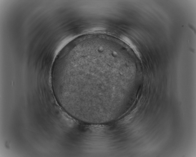 X0000091461336200709131726