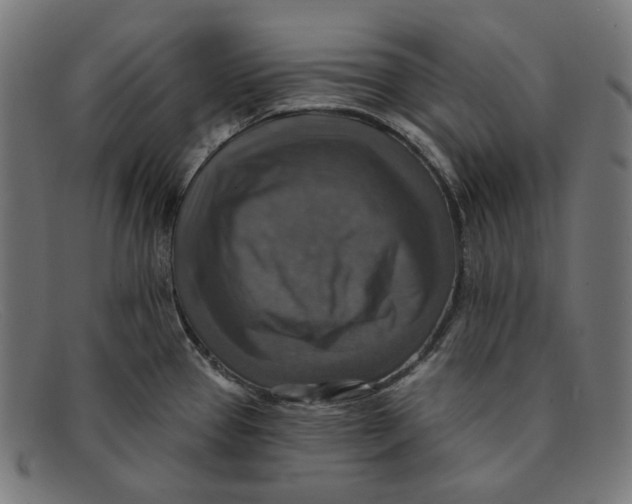 X0000091461337200709131726