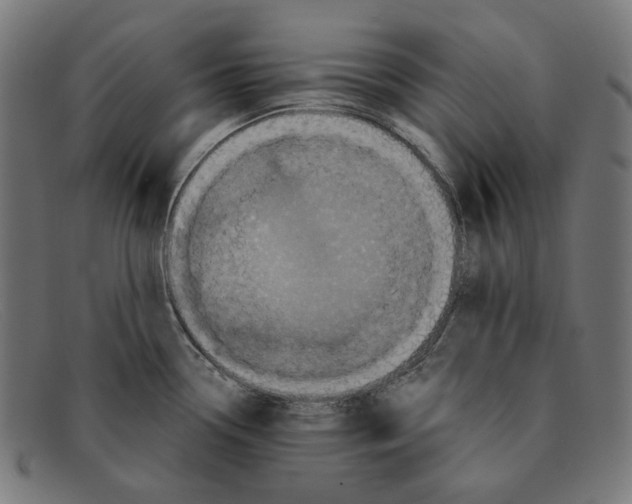 X0000091461338200709131726