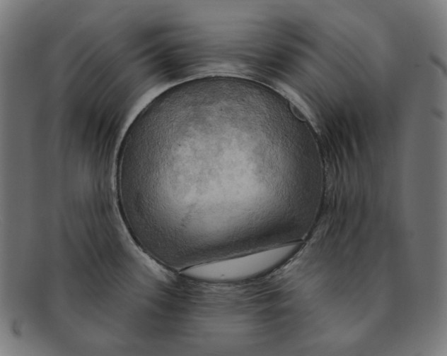 X0000091461339200709131726