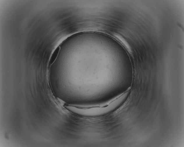 X0000091461340200709131726