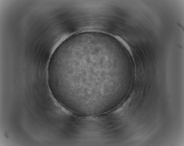 X0000091461341200709131726