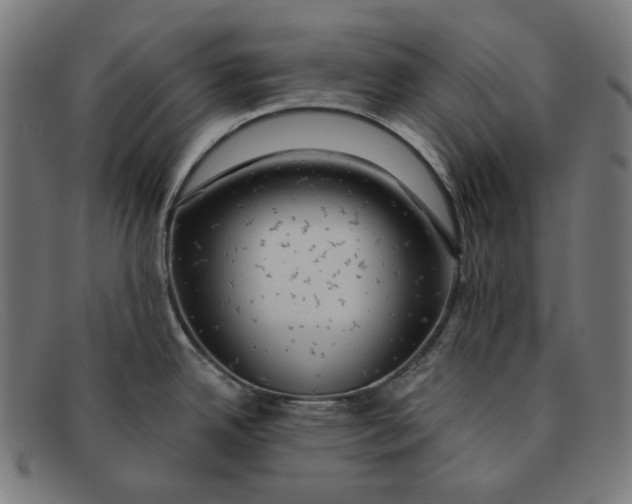 X0000091461342200709131726