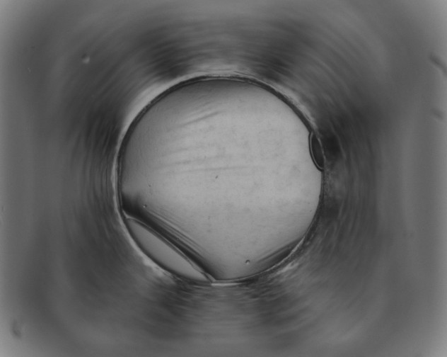X0000091461343200709131726