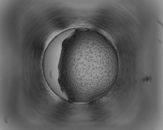 X0000091461344200709131726